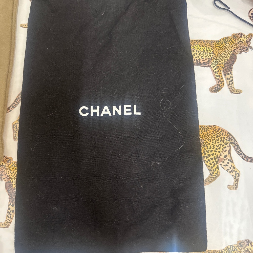 Chanel Dust Bag - image 1